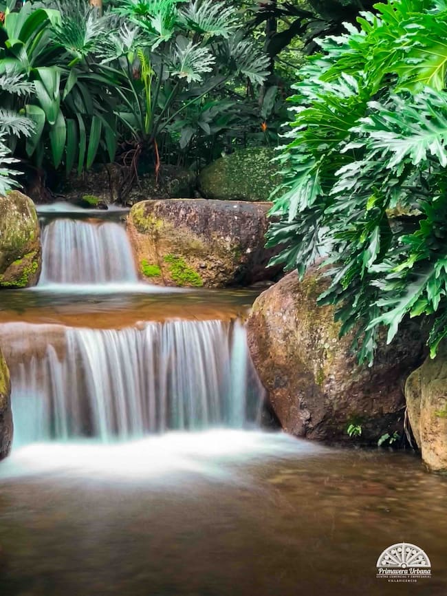 El único centro comercial de Colombia que tiene un ‘bosque tropical’: Es a 120 km de Bogotá. Crédito: Primavera Urbana