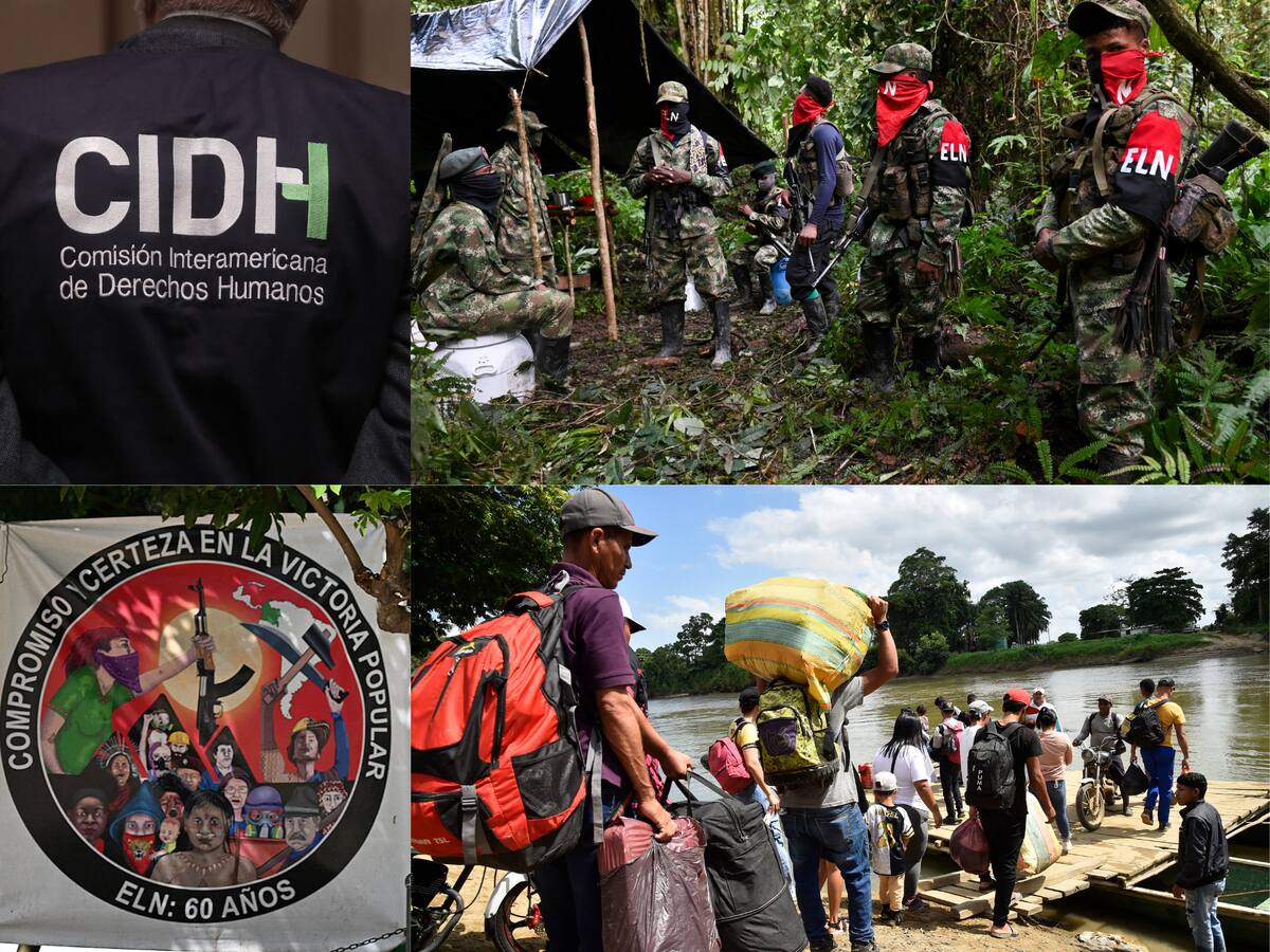 Catatumbo: CIDH pide a Estado colombiano poner fin a violencia de grupos armados