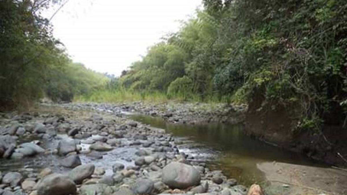 Es inminente crisis por falta de agua en el departamento del Quindío: Expertos