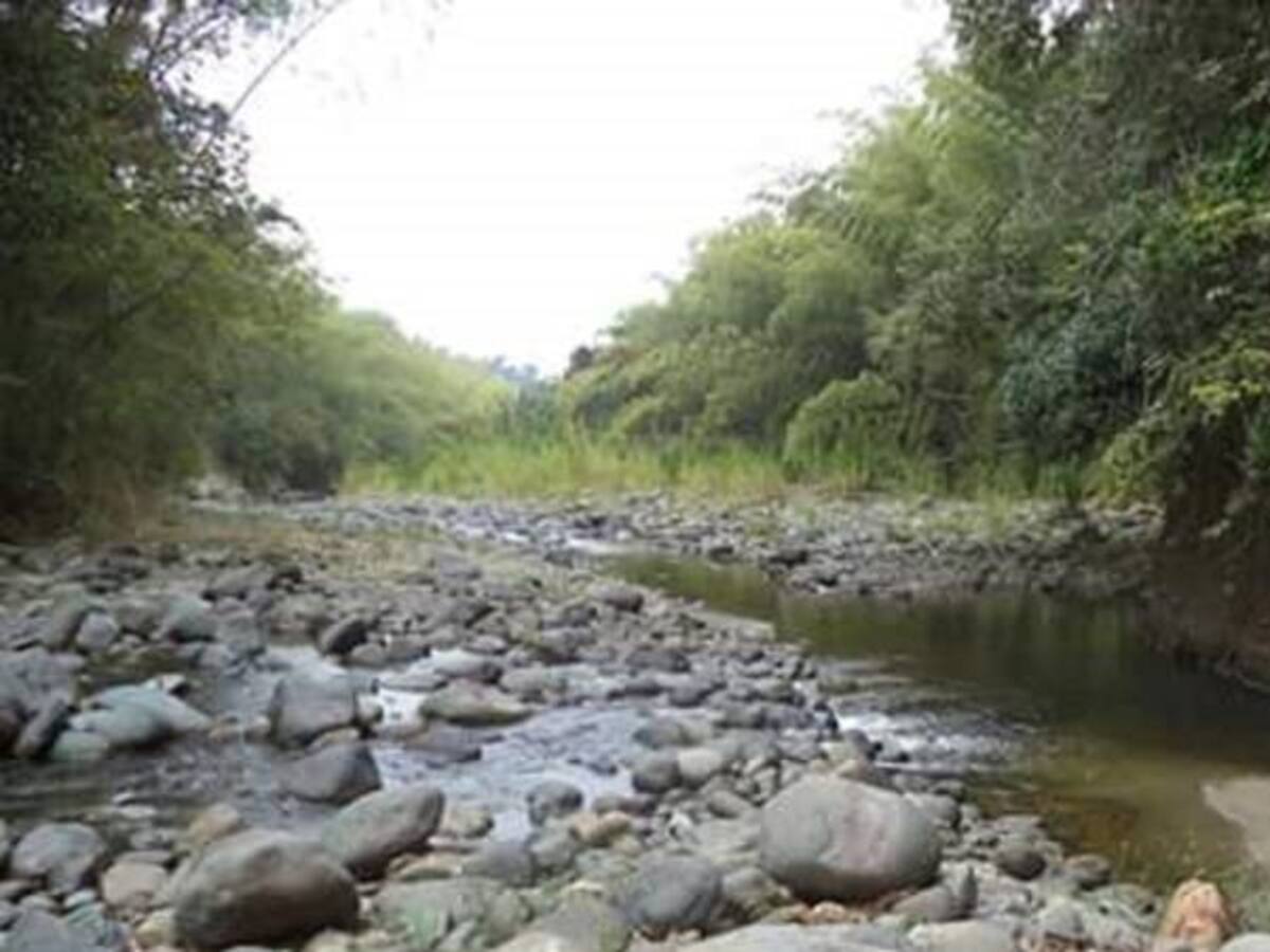 Es inminente crisis por falta de agua en el departamento del Quindío: Expertos