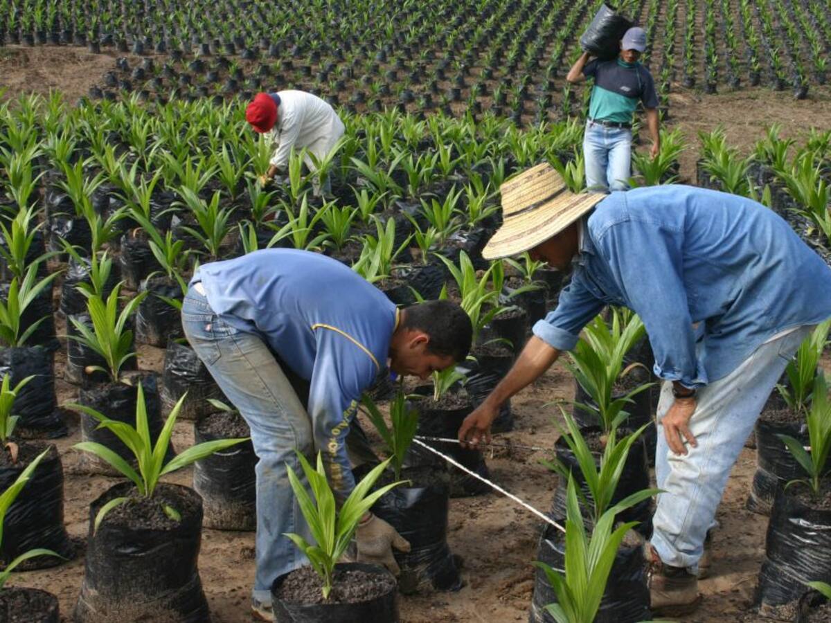 Encuentro de extensionistas repasará los retos del agro en América Latina
