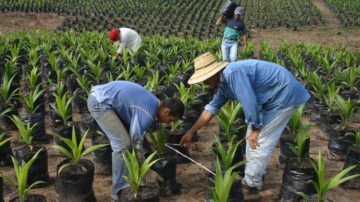 Reunión virtual para compartir experiencias a favor del campo. Participe