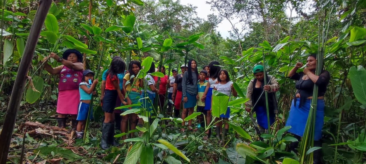 Se encuentran ubicados en el río Naya municipio de Buenaventura, Valle del Cauca