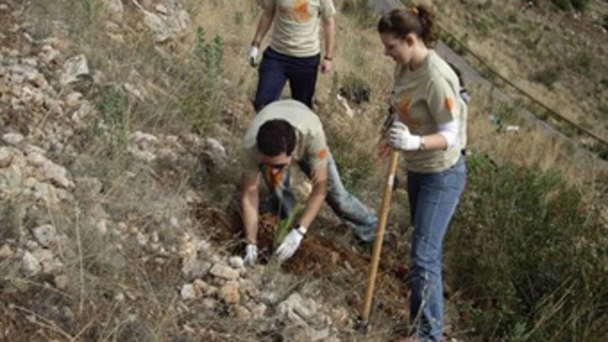 Colombia debe pensar seriamente en la reforestación