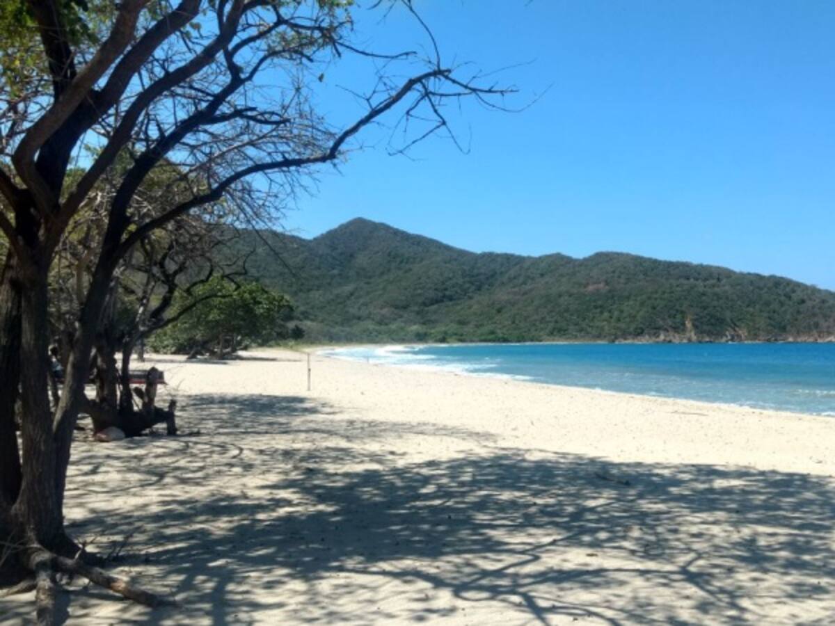 Hoy se celebra el día nacional de los Parques Naturales en Colombia