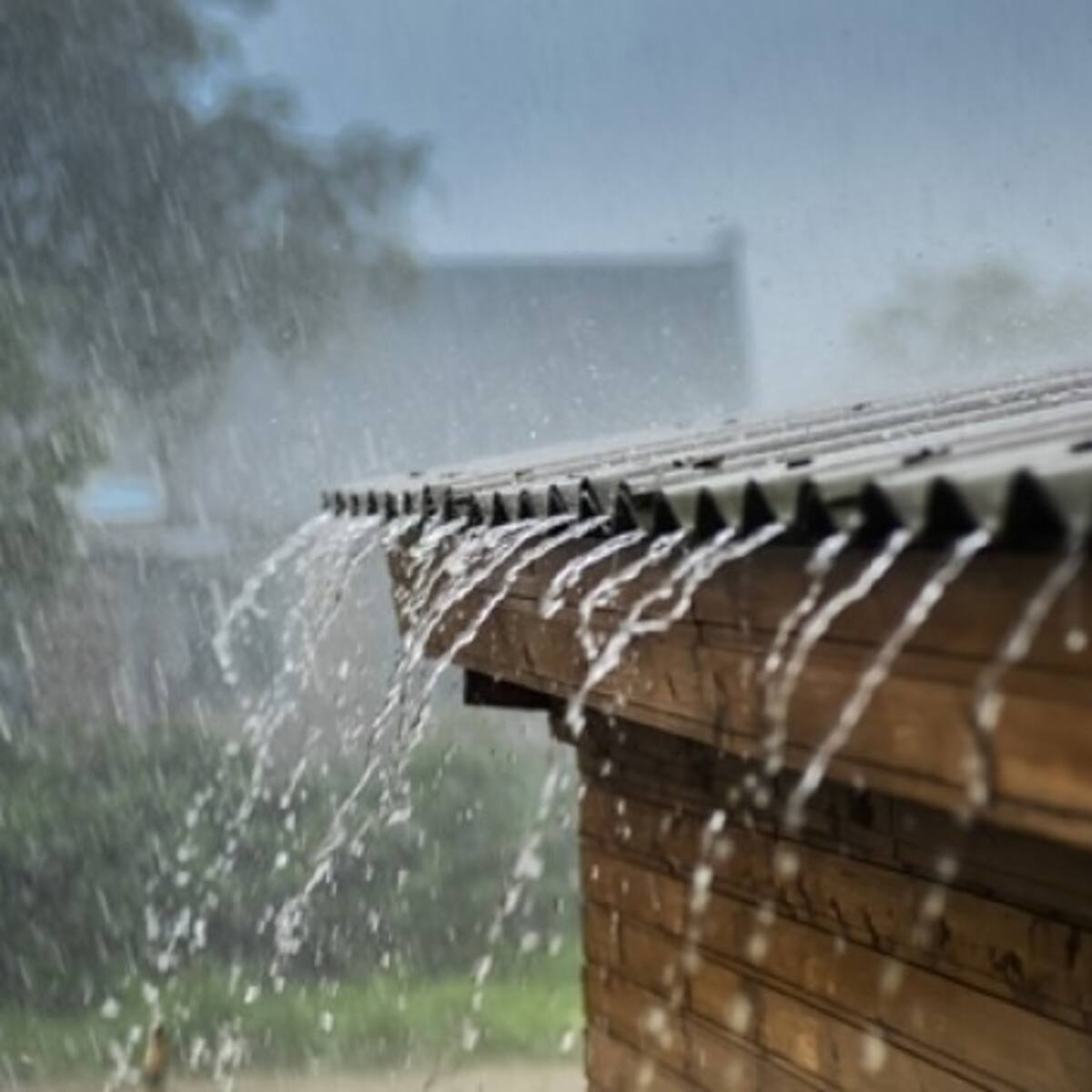 Más de 20 familias afectadas por lluvias en Barrancabermeja