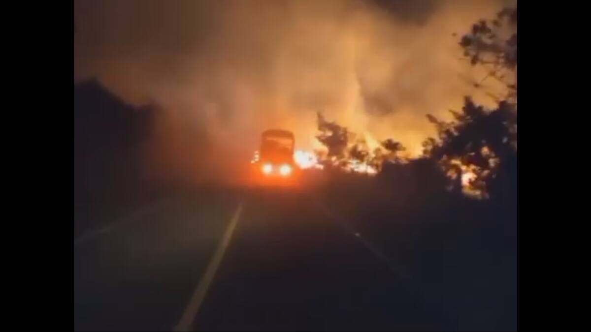 incendio forestal en Los Santos llegó hasta la carretera