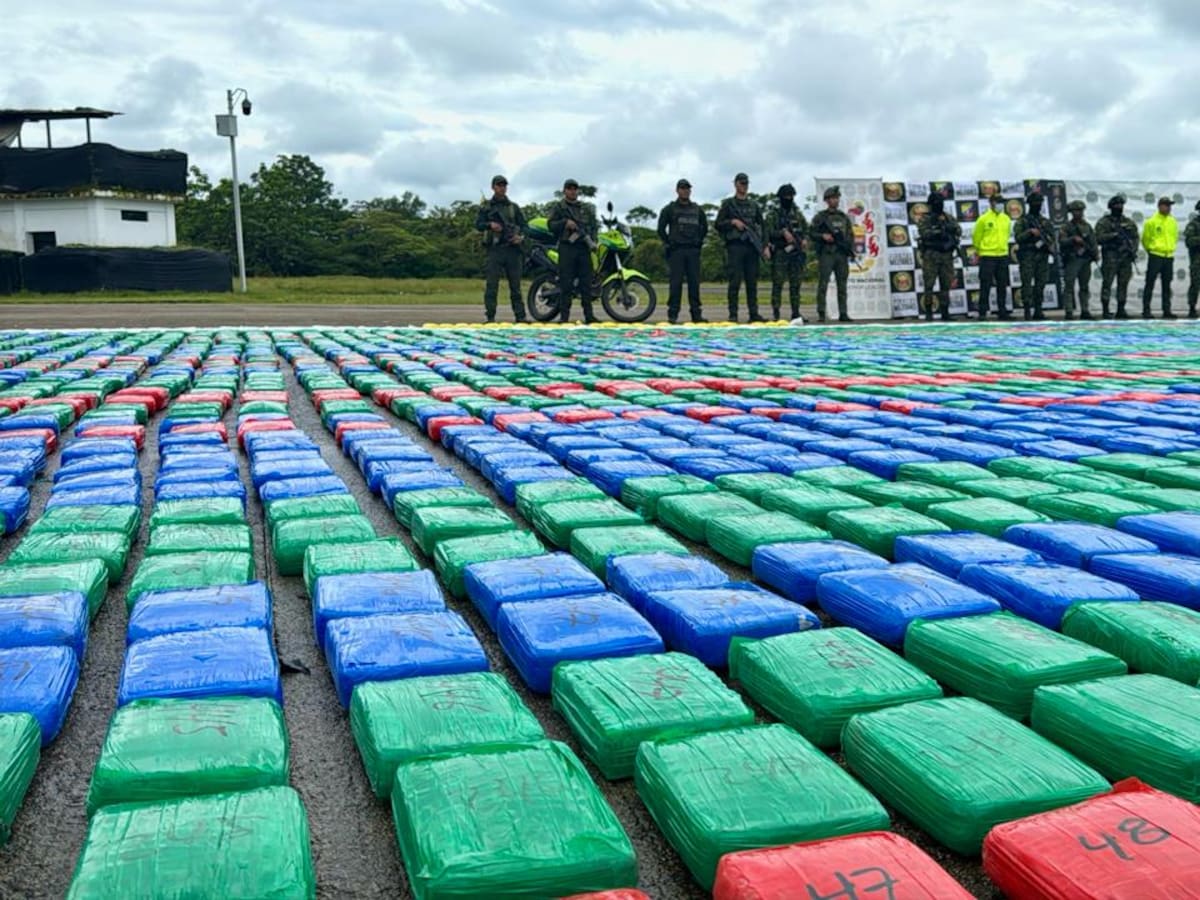 Millonario golpe al narcotráfico en Putumayo