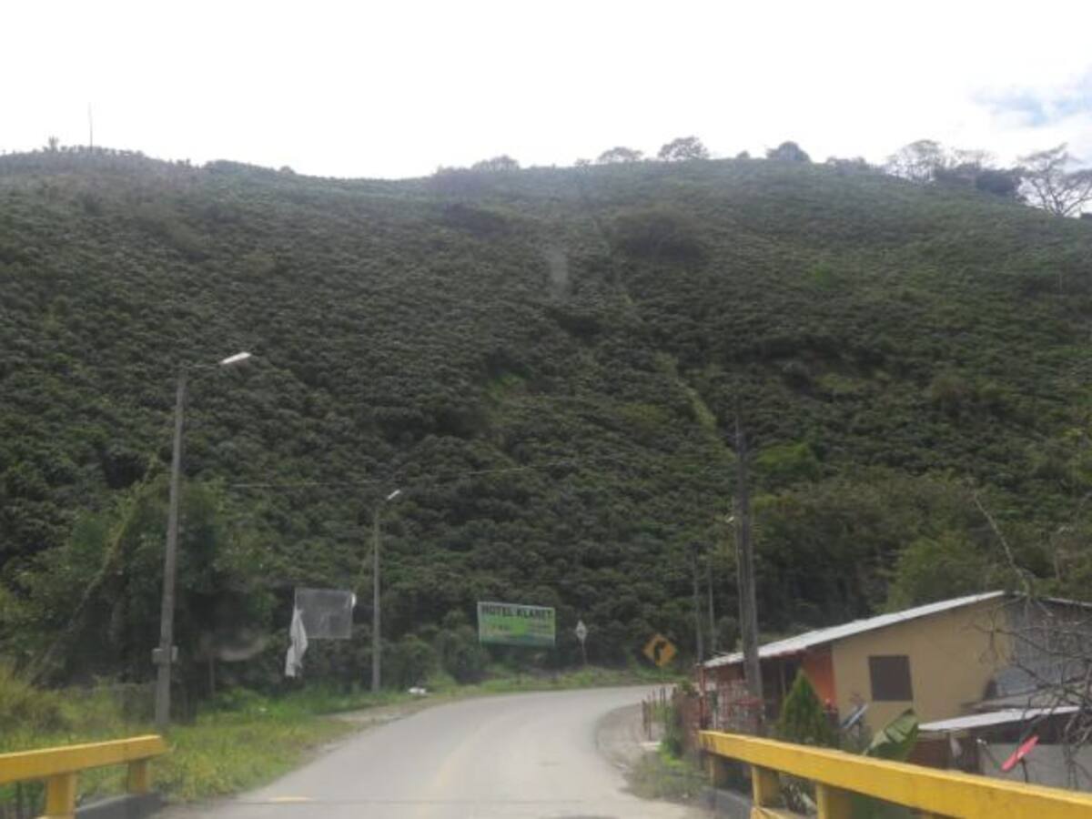 Jueves 18 de octubre, las noticias más importantes de Armenia y el Quindío