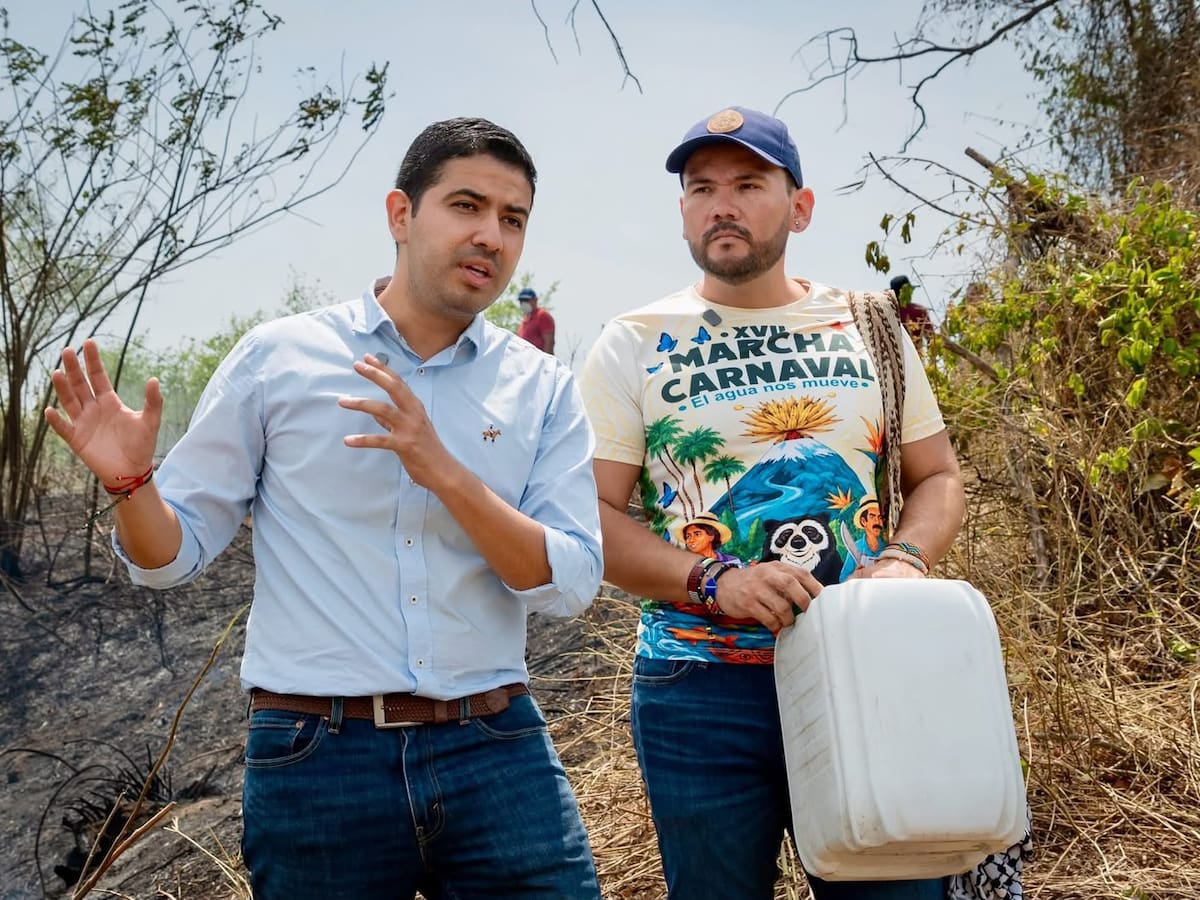 “Dejen de estigmatizar”: diputado del Tolima rechaza versiones sobre Primera Línea e incendios