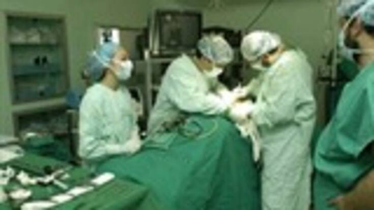 El problema de la salud no es la ministra. No veo candidatos que puedan reemplazarla fácilmente: ACEMI