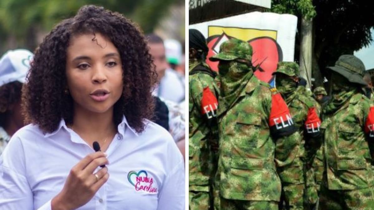 “Por paro armado del ELN estarán confinadas más de 50 mil personas”: Gobernadora del Chocó