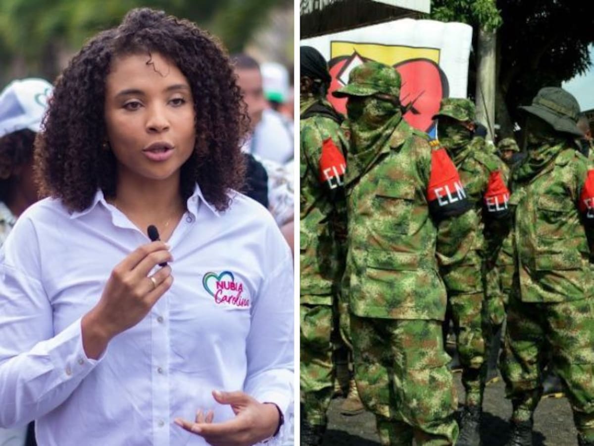 “Por paro armado del ELN estarán confinadas más de 50 mil personas”: Gobernadora del Chocó