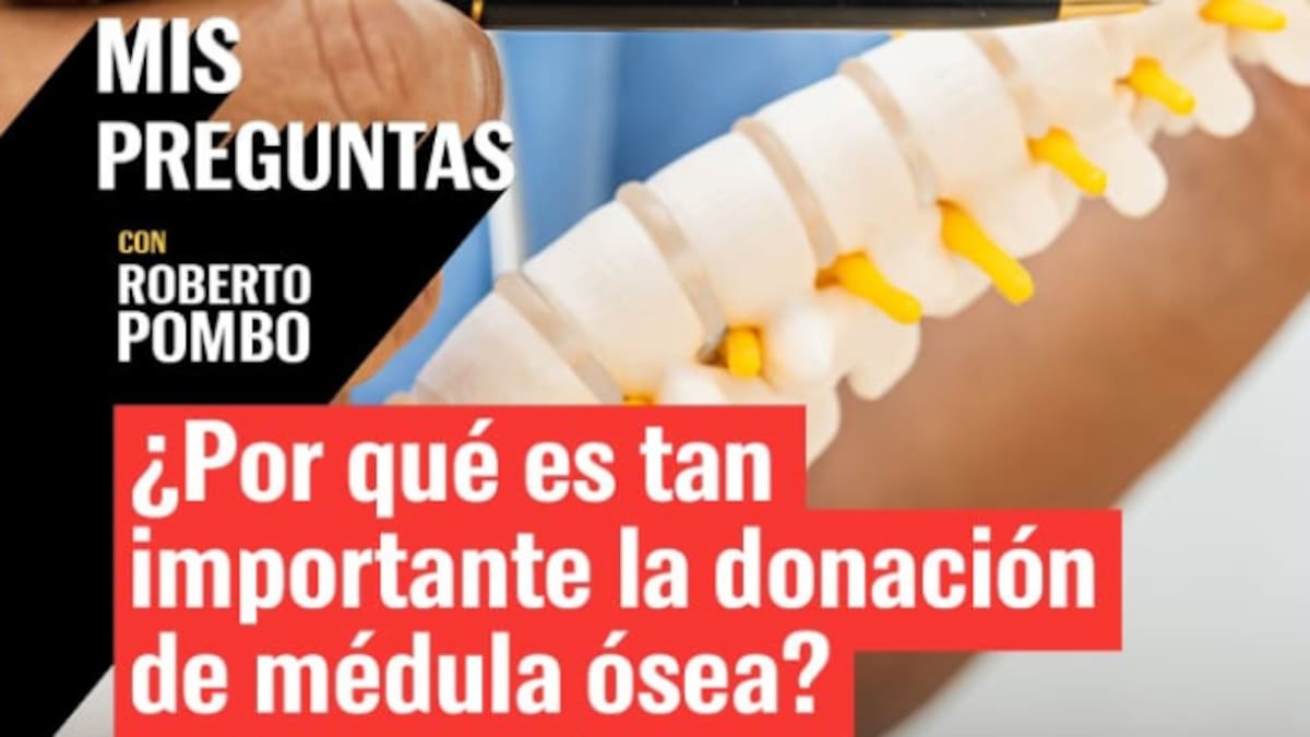 ¿Por qué es tan importante la donación de médula ósea?