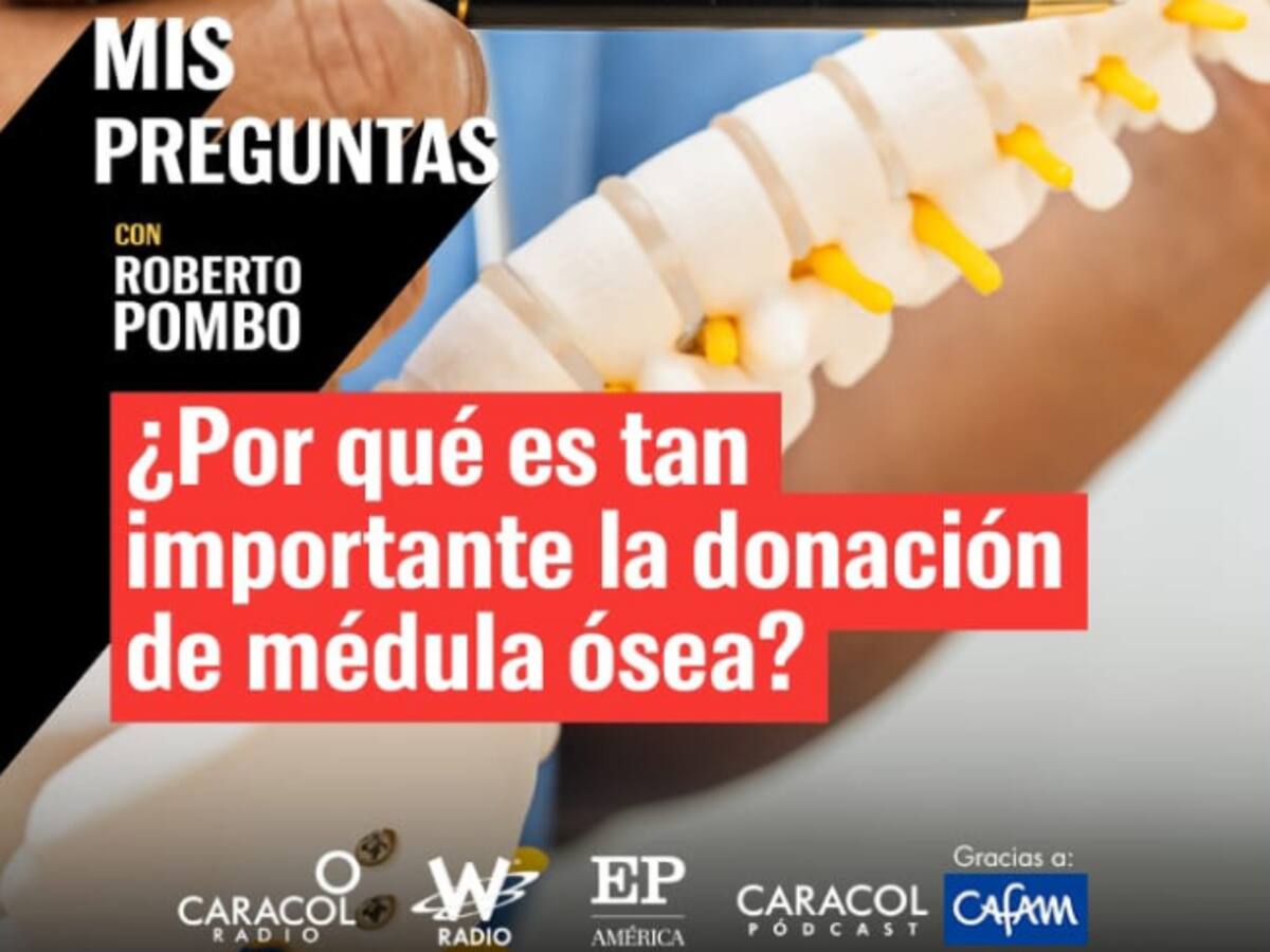 Mis Preguntas: ¿Por qué es tan importante la donación de médula ósea?