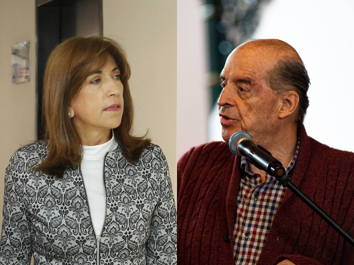Canciller Leyva no gritó ni maltrató a Martha Zamora: director Jurídico de Cancillería