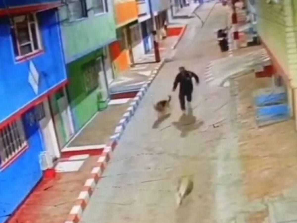 Liberan a presunto maltratador y abusador sexual de animales en Bogotá