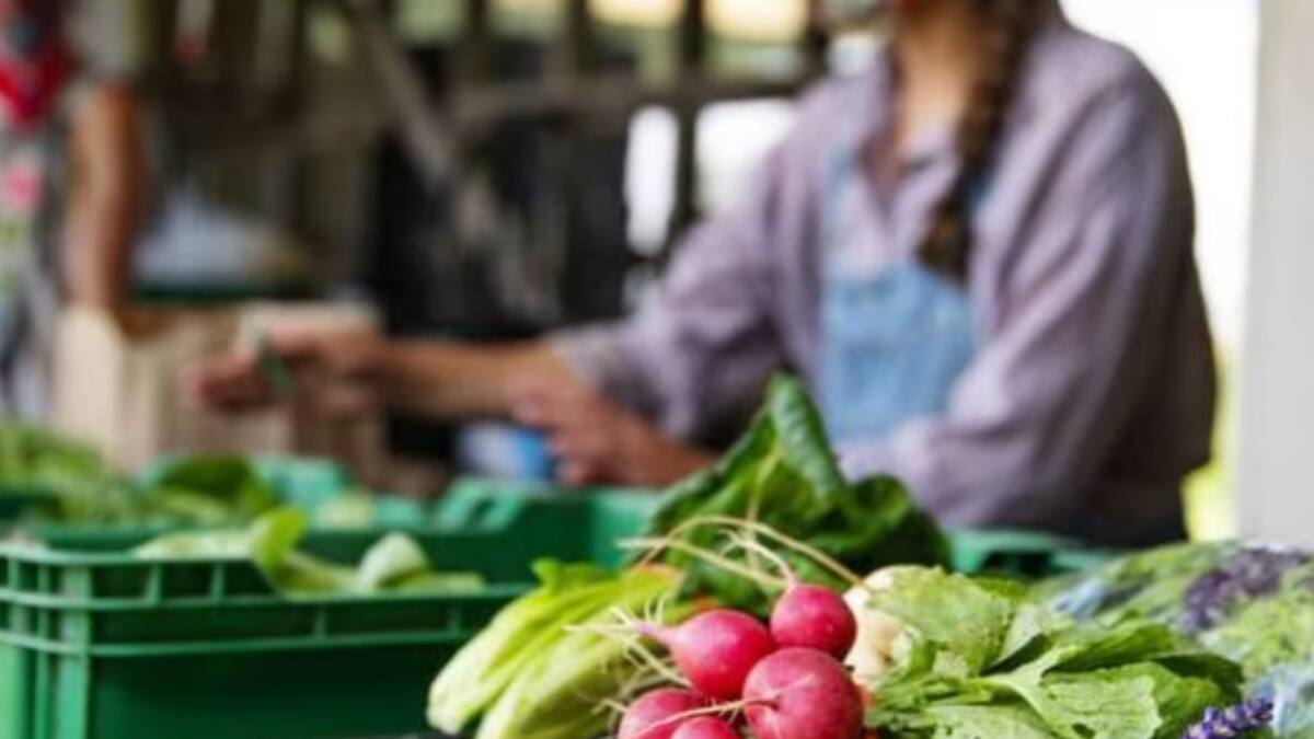 Udes le pide apoyo económico al Gobierno Nacional para atender crisis alimentaria