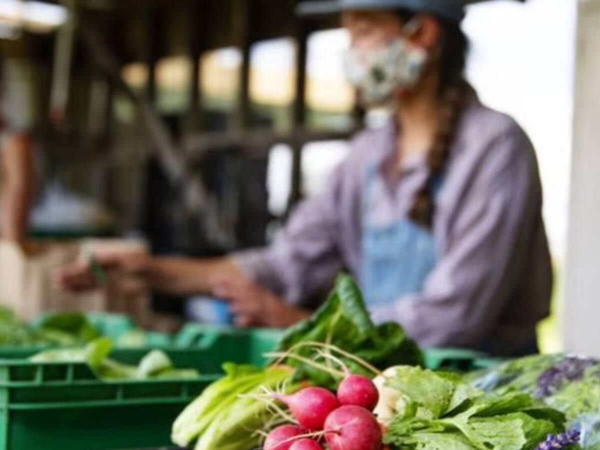 Udes le pidió apoyo económico al Gobierno Nacional para atender crisis alimentaria