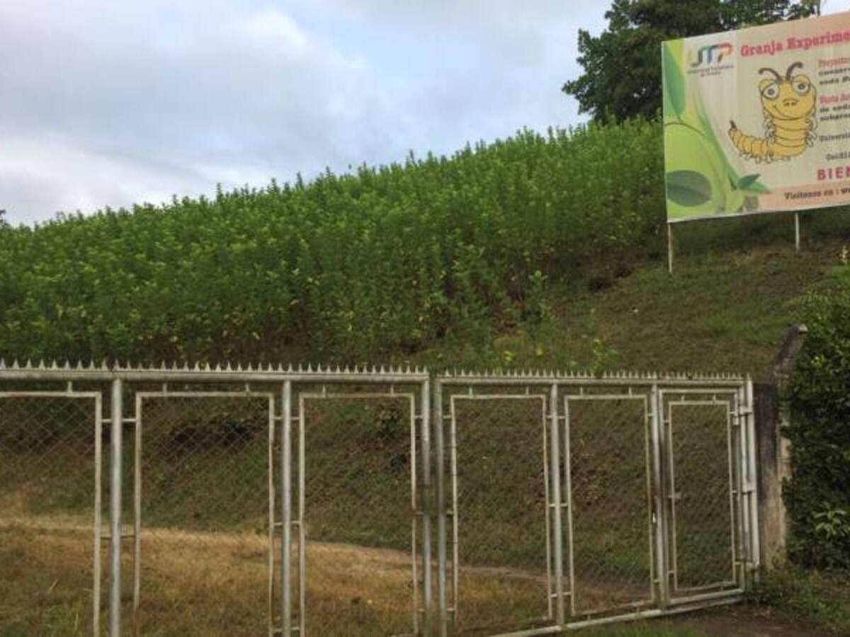 El Uspec no responde por qué no ha iniciado la obra de la cárcel del Pílamo