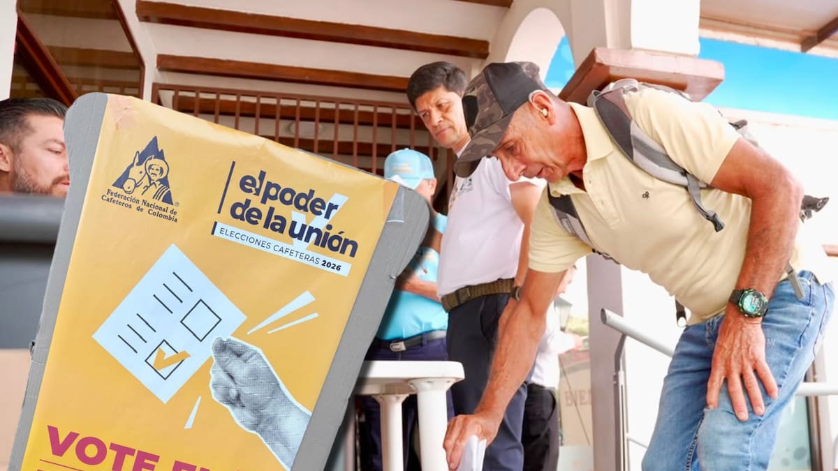 Arrancan las elecciones para elegir a los representantes cafeteros de los próximos cuatro años