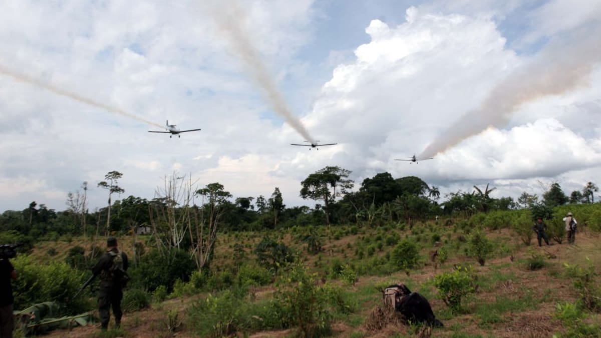 Entrevista Glifosato