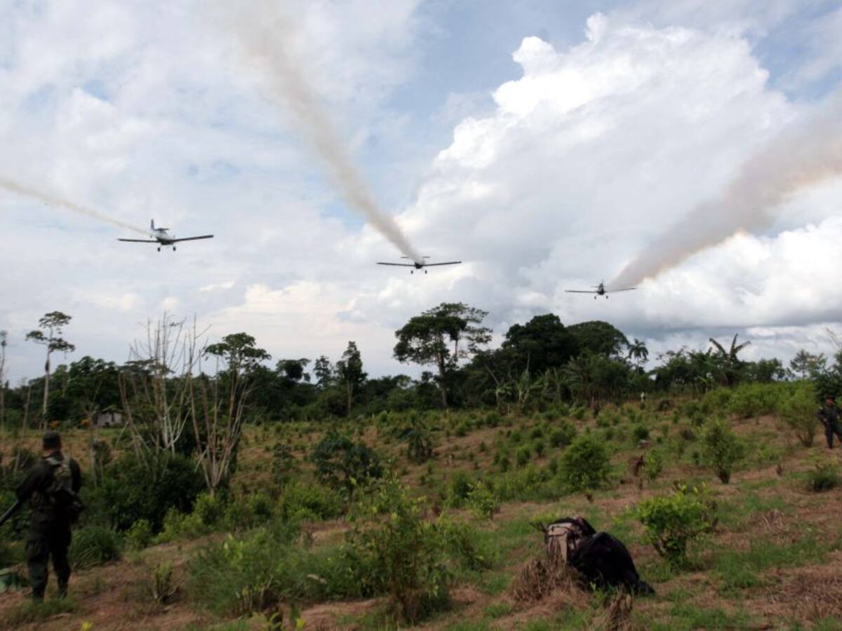 “No queremos otra crisis de salud por el Glifosato” líder Putumayo