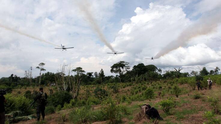 Entrevista Glifosato