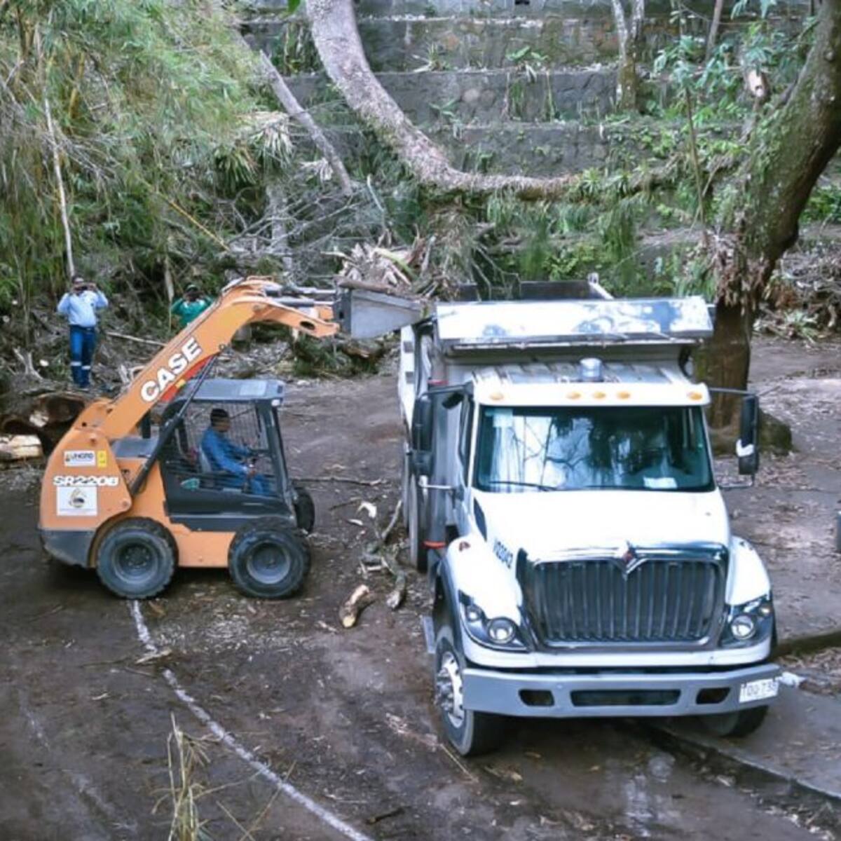 Siguen labores de limpieza en el parque Centenario en Ibagué