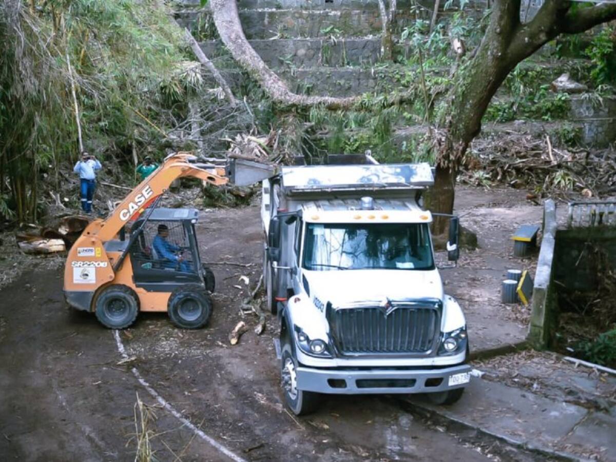 Siguen labores de limpieza en el parque Centenario en Ibagué