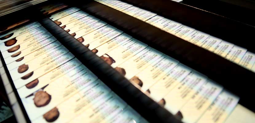 Cédulas de ciudadanía