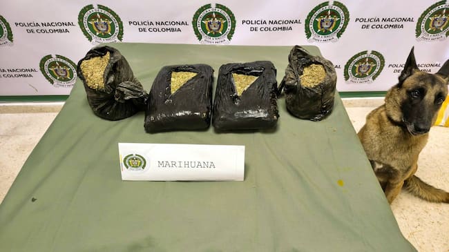 En total, fueron incautados más de 6.500 gramos de marihuana. // Policía Metropolitana de Cartagena