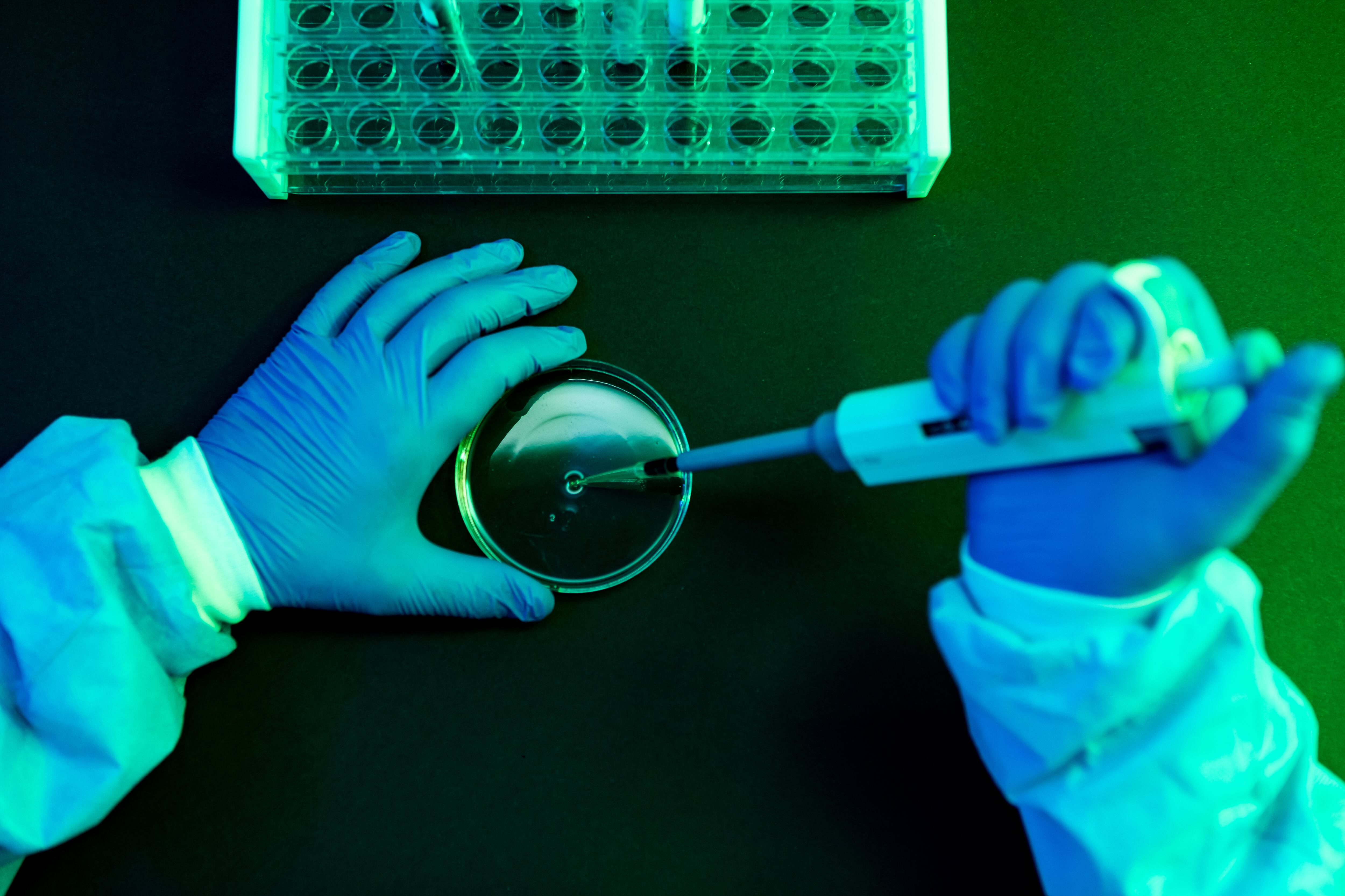 Ciencia, imagen de referencia. Foto: Getty Images.