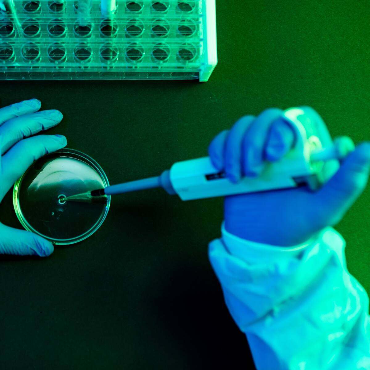 Universidades del OCAD Ciencia niegan aprobación exprés de 49 proyectos y anuncian nueva reunión
