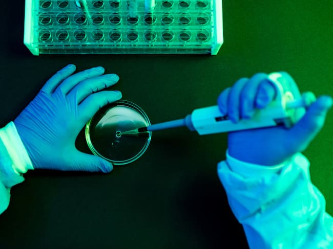 Ciencia, imagen de referencia. Foto: Getty Images.