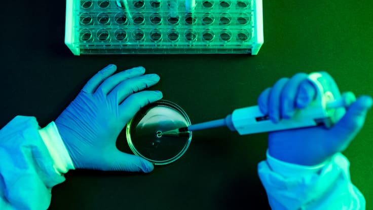 ¿En cuánto aplicaría para humanos? Habla miembro de equipo que eliminó cáncer de páncreas en ratones