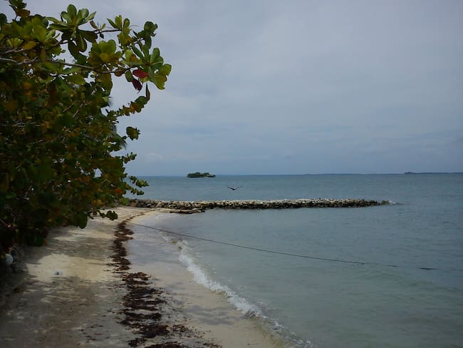 Procuraduría convoca reunión urgente para protección de las Islas del Rosario