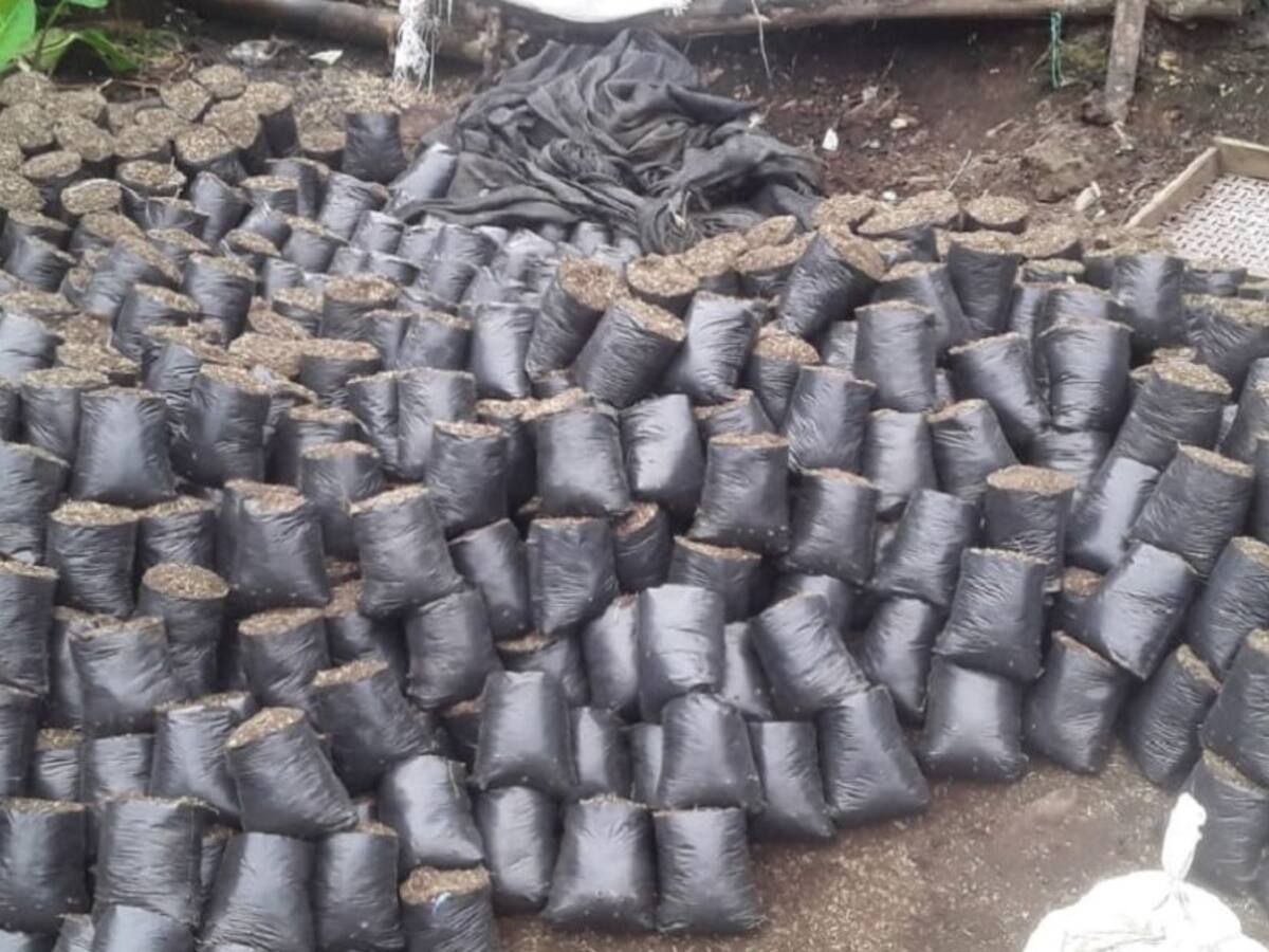 Apoyo para comercializar harina de plátano en el oriente caldense