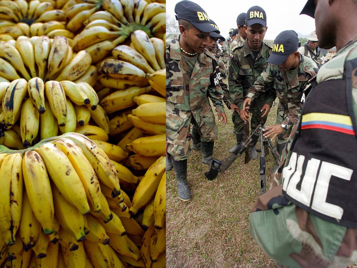 Se negó a vender la tierra y lo mataron: víctima de los “paras” y denunciante de Chiquita