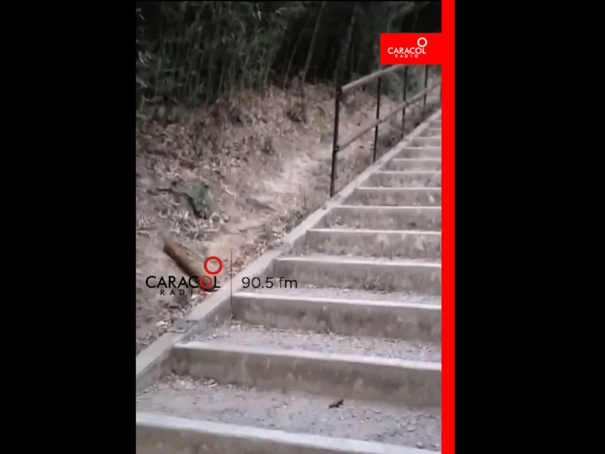 En Cali denuncian robo de barandas metálicas en lugares públicos