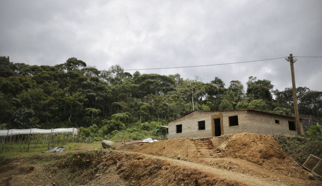 Imagen de referencia