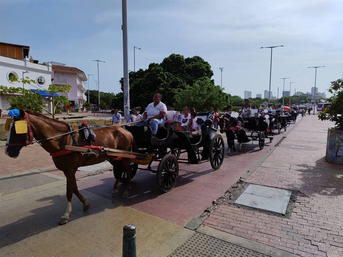 Cocheros de Cartagena realizaron protesta por calles del centro histórico: ¿Qué piden?