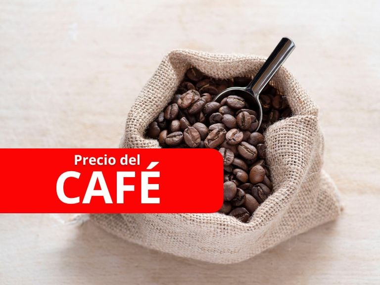 Café, imagen de referencia: GettyImages