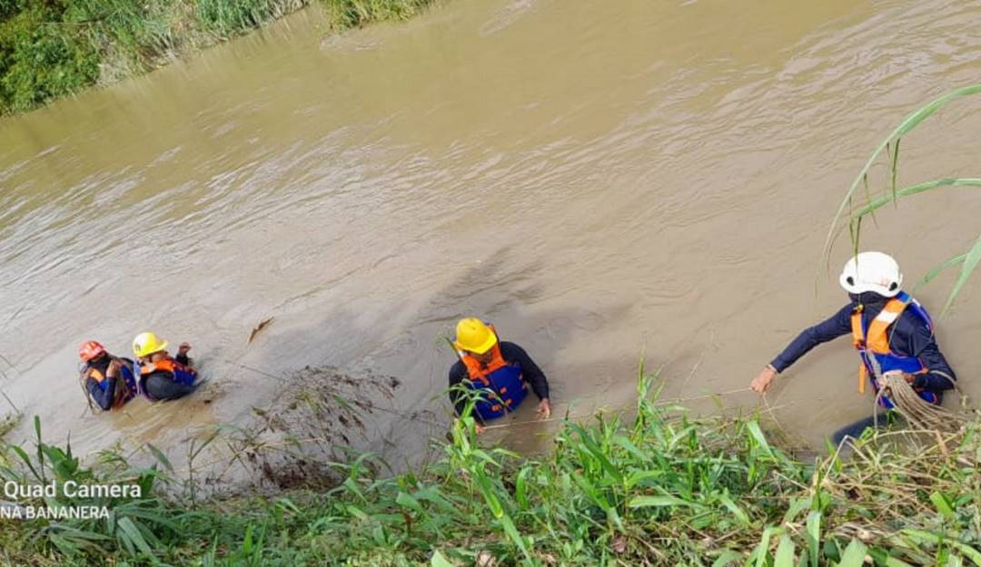 Organismos de socorro