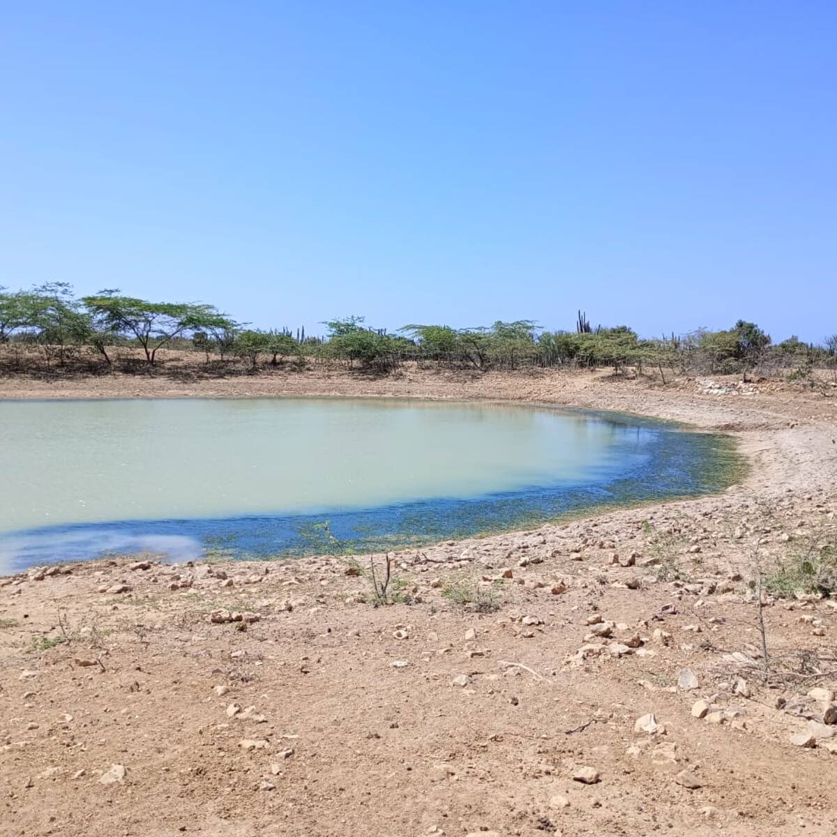 “Es un incumplimiento flagrante”: Corte sobre política pública para garantizar agua en La Guajira
