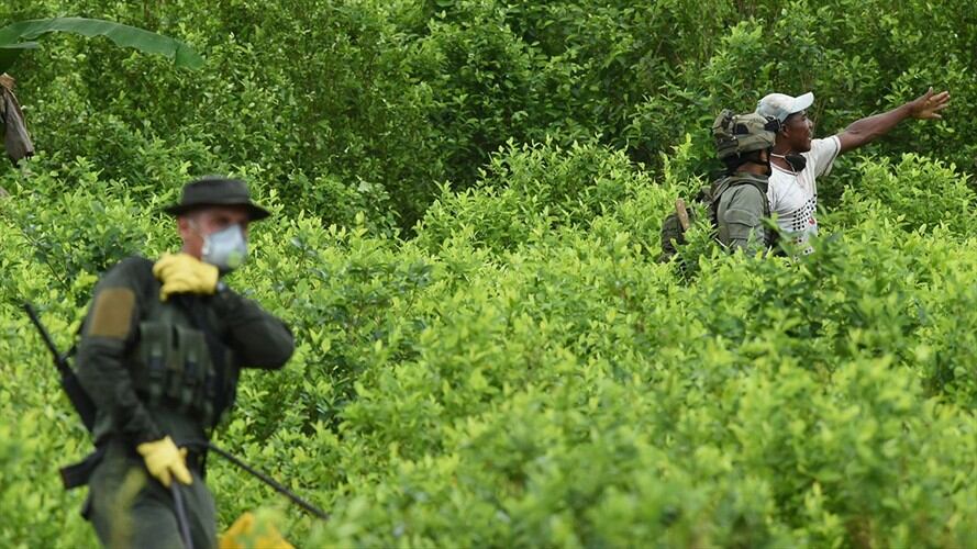 Imagen de referencia. Foto: Colprensa