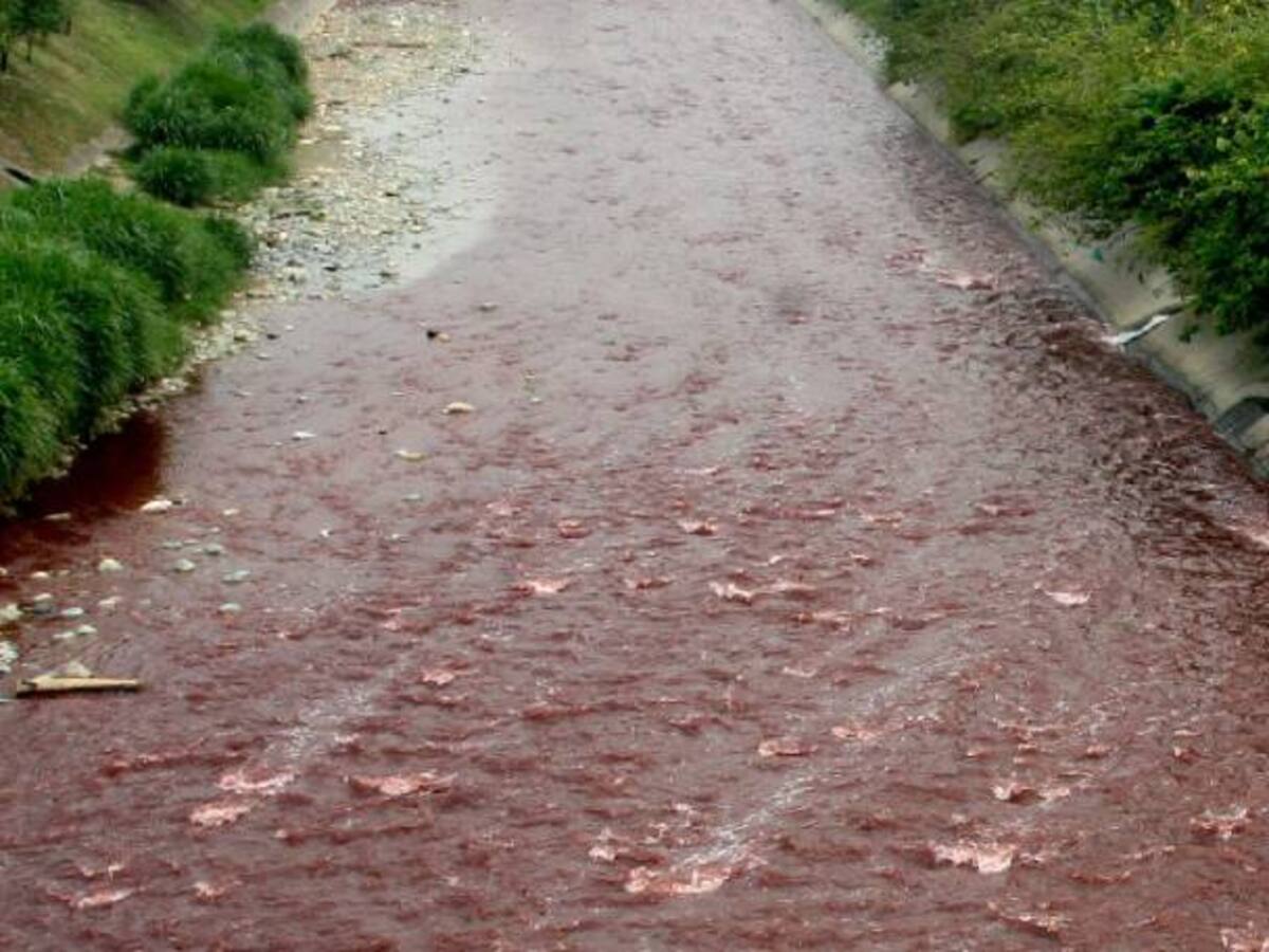 Personas que arrojen contaminantes a los acueductos serán condenados