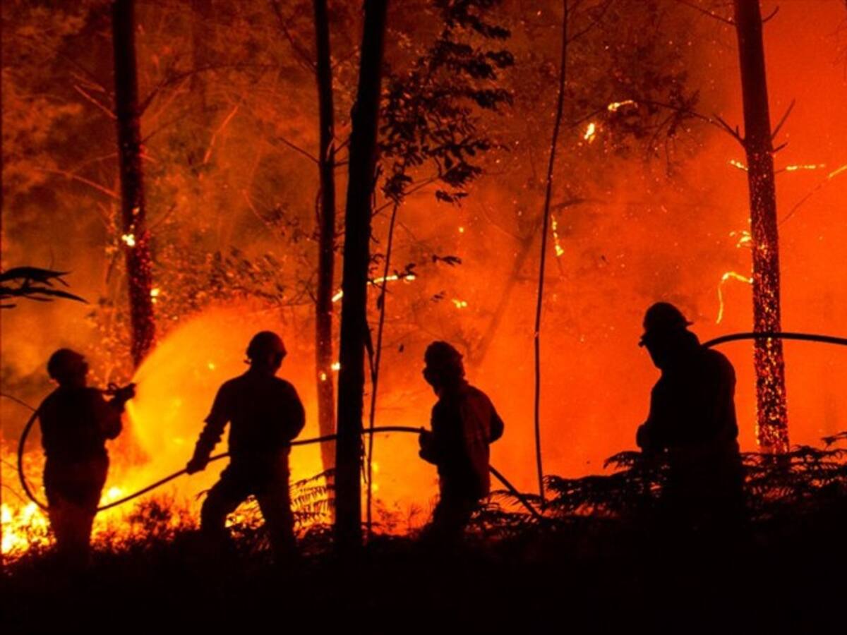 Hay recursos, pero no había voluntad para combatir el fuego en Amazonas: Adriana Ramos