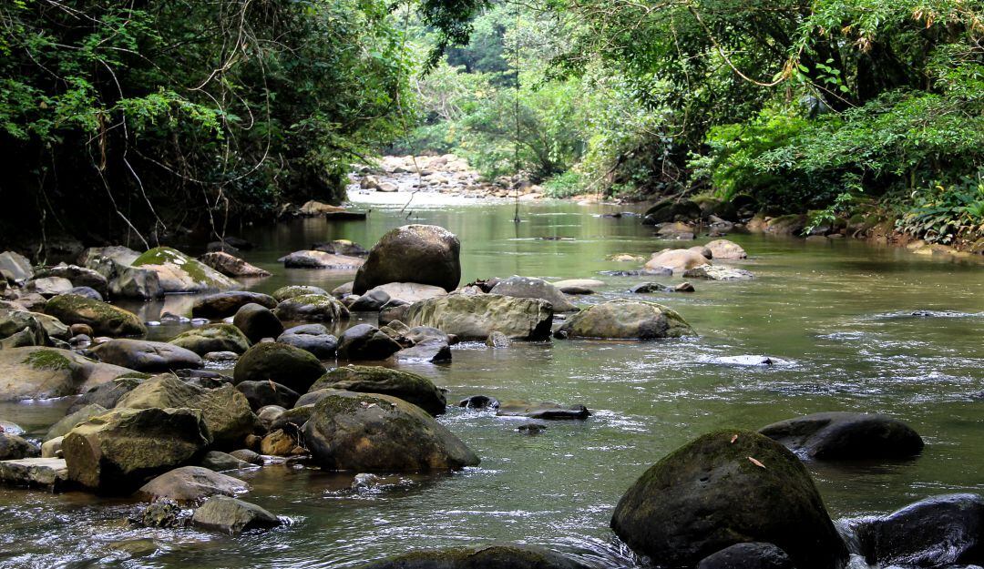 10 Parques Nacionales Naturales se reabrirán al ecoturismo, en el 2021.