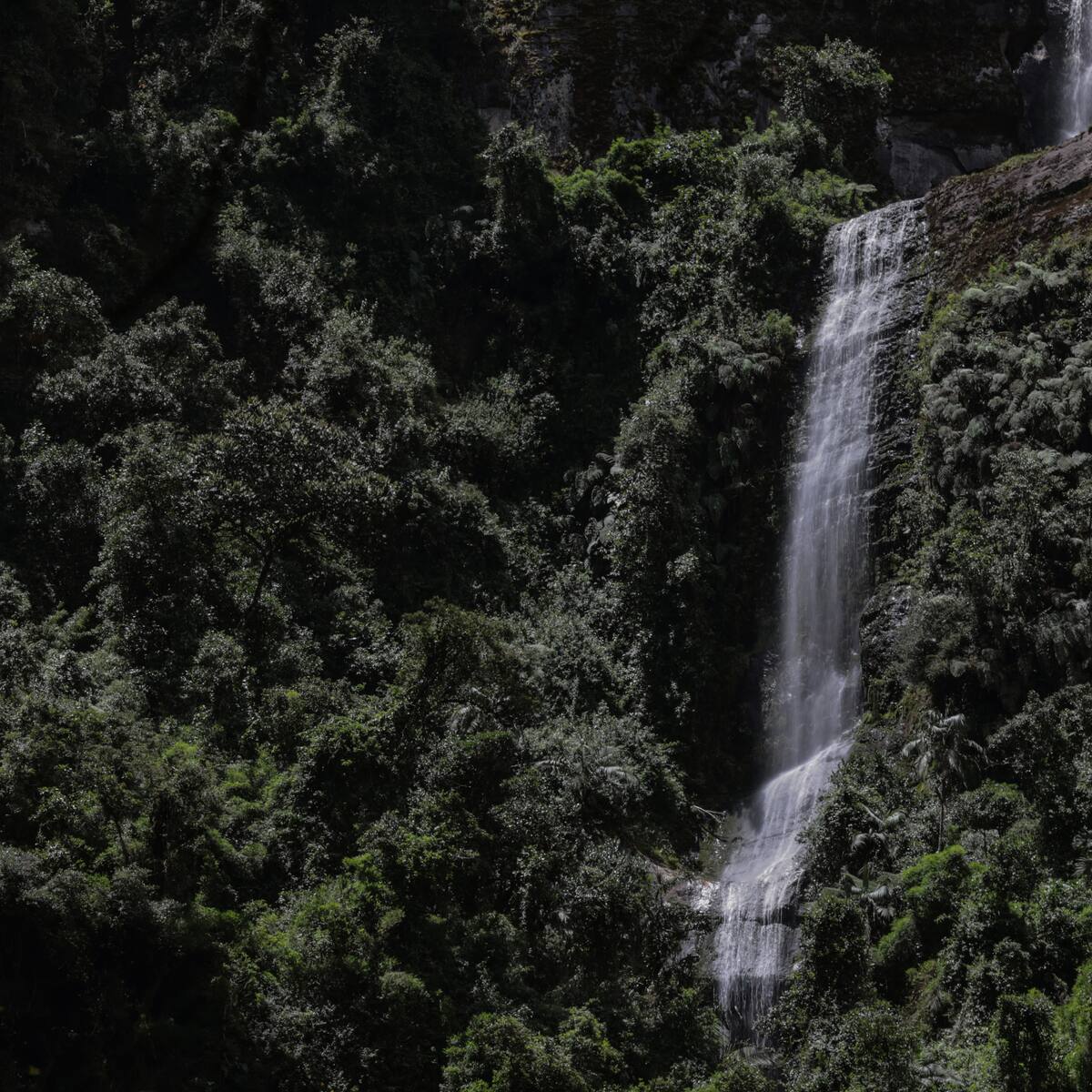 ¿Cuál es la cascada más hermosa de Colombia, según la IA? Esto le costaría ir